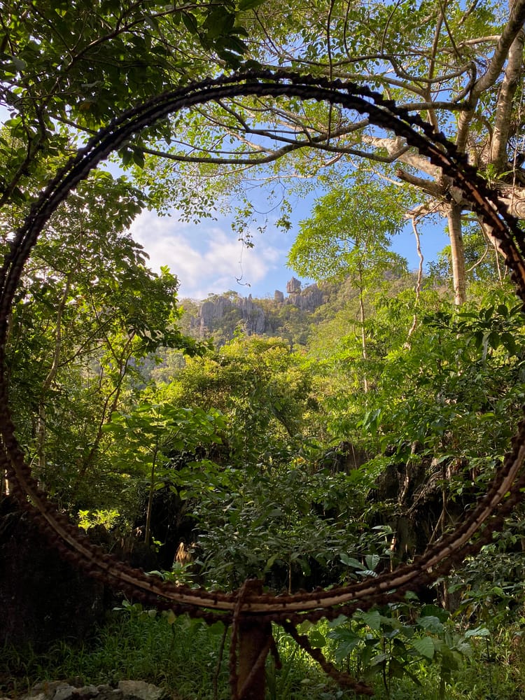 who gave you permission?