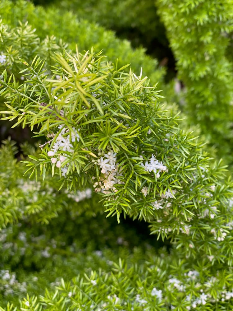 some ways to feel better