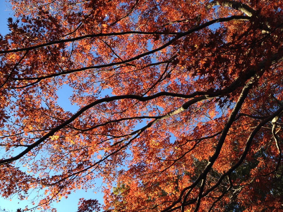 what if I gave writing a chance?