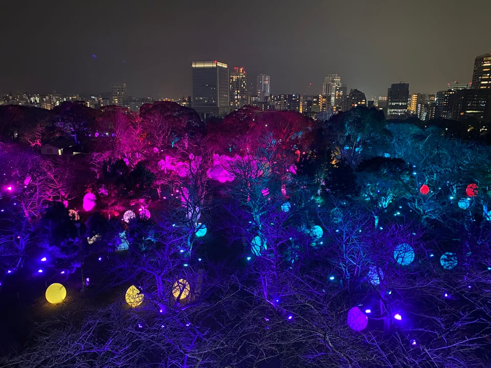 all her veins go down into this paper