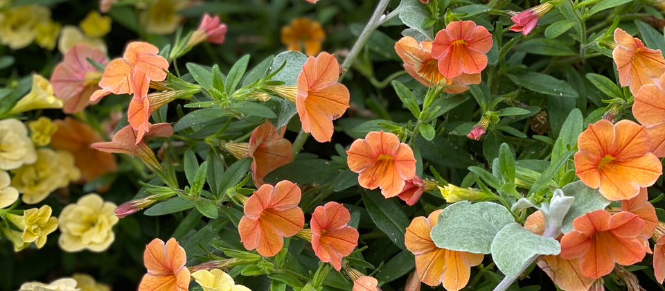 the math if we're mathing